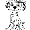 He is the leader of puppies in conducting rescue operations in the city of adventure bay. 1