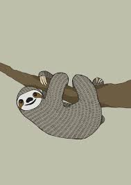 Hand Drawn Sloth Illustration A4 Print By Ratherlovelystuff Sloth Drawing Sloth Sloth Cartoon