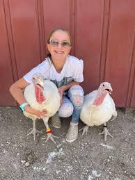 White Pine Junior Livestock Sale