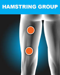 Electrode Placement Chart Tens Ems For Pain Relief