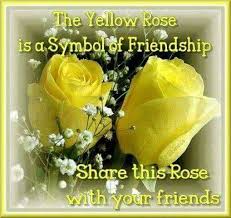 Yellow Rose Of Friendship Yellow Roses Friendship Rose Rose