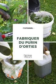 Comment Faire Un Bon Purin D Orties Suivez Nos Conseils Illustres Tuto Diy Potager Purin Ortie Potager En Conteneurs Systeme Aquaponique