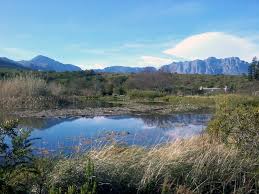 Helderberg Nature Reserve With Hottentots Holland Mountains In The Far Distance Photo David Floyd Places To Visit Nature Reserve National Parks