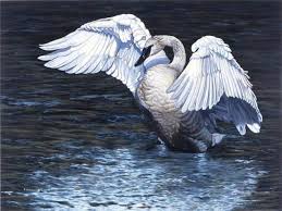 лебеди стадом летели из холодной стороны в тёплые земли Tolstoj Lebedi Kakoe Kratkoe Soderzhanie Kto Glavnye Geroi Rasskaza