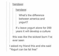 Difference Between Yogurt And America Tumblr