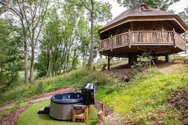 Forest log cabins & lodges. Best Treehouse Holidays 2021 Terrific Treehouse Stays In The Uk