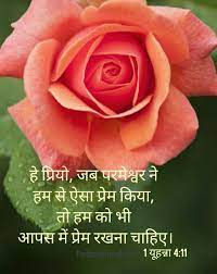 Pin By Rita Rathod On Hindi Gujarati Flowers Plants Rose