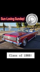 Image result for Sungold Amber 1966 AMC