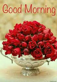 The flowers are special, they are a symbol, each one is different in shape and color and each has a different meaning. Top 50 Good Morning Flowers Images Pictures Hd Photos Free Download
