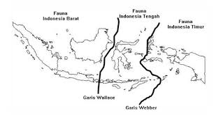 Jenis flora di sulawesi jika dilihat menunjukkan percampuran antara jenis flora indonesia wilayah laut yang dalam itulah yang kemudian menjadi pemisah antara kedua wilayah sehingga berakibat. Pengertian Biogeografi Ruang Lingkup Faktor Persebaran