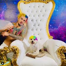 Malley sean ufc hair before his sugar colourful dogg snoop crazy making dog go quinonez jose typically looked flamboyant. Danny Segura On Twitter Looks Like Sean O Malley Dyed His Hair With The Colors Of The Ecuadorian Flag Ahead Of His Ufc252 Bout With Chito Vera Via O Malley S Ig Https T Co Gwqj3ficjp