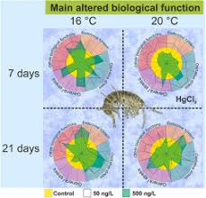 After locke returned to the mainland in an attempt to bring back the oceanic six , matthew abaddon revealed that she had died of a brain aneurysm in 2006. Inorganic Mercury Effects On Biomarker Gene Expressions Of A Freshwater Amphipod At Two Temperatures Sciencedirect