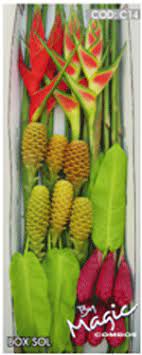 Maybe you would like to learn more about one of these? Wholesale Tropical Flowers