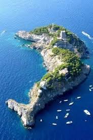 Scott o'dell has said, island of the blue dolphins began in anger, anger at the hunters who invade the mountains where i live and who slaughter everything that creeps or but wait. 60 Island Of The Blue Dolphins Ideas Dolphins Island Novel Studies