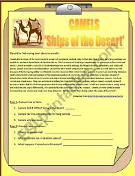^ where other animals would die from lack of food and water, the camel gets along very nicely. Camels Ships Of The Desert A Reading Comprehension Esl Worksheet By Mws1911