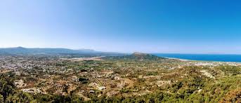 Image result for Sorindeia rhodesica