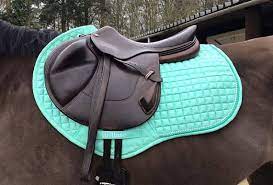 Pin On Equestrian Style Mints