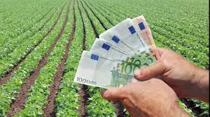 Pentru ca pana acum anul 2018 a fost unul extrem de profitabil pentru afacerile in agricultura iata ca. Top 5 Cele Mai Profitabile Afaceri Pe Care SÄ Le Incepi La ÈarÄ Money