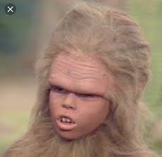 U.S Army W.T.F! moments