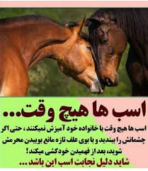 سکس های خانوادگی ( حتما نگاه کنید )