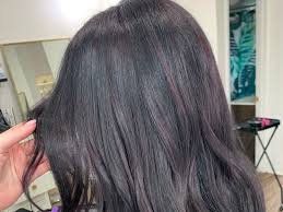 I have really dark hair, almost black, and i want to lighten it. 25 Dark Purple Hair Color Ideas