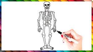 How To Draw A Skeleton Step By Step | Skeleton Drawing Easy | Super Easy  Drawing Tutorials - Youtube