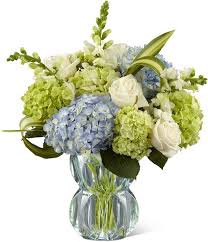 New haven is located at. Lloyd S Florist Flower Shop Louisville Ky Flower Delivery Louisville