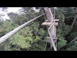 We did not find results for: Skytrex Adventure Shah Alam Destimap Destinations On Map