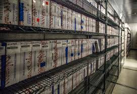 Image result for Rape Kit