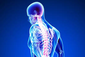 Back pain can affect your ability to enjoy life. Focus On Your Spine As You Strive Towards Better Health Inline Physio