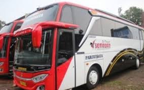 Sawah besar, jakarta pusat3 hari yang lalu. Lowongan Supir Bus Pariwisata Sekali