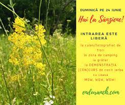 Şi parcă ar fi valabilă şi în cazul spaţiilor comerciale din piteşti (fie ele mai noi sau mai vechi, fie dezvoltate pe bune ori încăpute pe mâna unor şmecheri imediat după revoluţie). Enduranch In NaturÄƒ Nimic Nu Se Pierde Nimic Nu Se Facebook