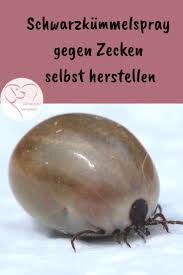 Schwarzkummelspray Gegen Zecken Selbst Herstellen In 2020 Zecken Schwarzkummel Zeckenmittel Fur Hunde