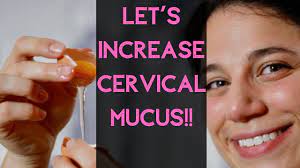 How To Increase Cervical Mucus - Youtube