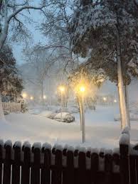 Bretton Woods Condos Coram Ny Photo By Alanna Connolly Nature Beauty Beautiful Places Picture Light