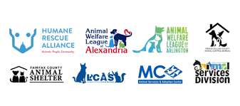 We did not find results for: Dmv Area Animal Shelters Urge Community Members To Have A Plan In Place For Their Pets