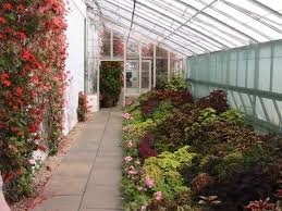 We did not find results for: 13 Greenhouse Benefits With Ideas And Plans To Inspire