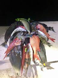 While hawaiians have been known to hit the waters with a spear in hand for many years, spearfishing has recently taken the island chain by storm as an exciting sport enjoyed by natives and tourists both. Seven Men Caught Illegally Spearfishing In Waikiki Conservation District Honolulu Star Advertiser