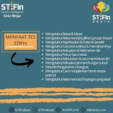 Pin Oleh Stifin Brain Personality Sol Di Stifin