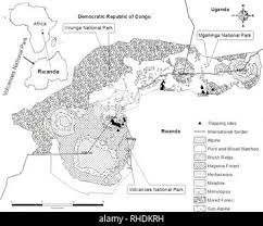 Image result for Mimulopsis