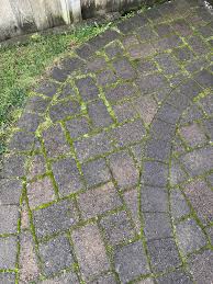 3 Ways To Remove Moss & Weeds From Pavers | Western Interlock