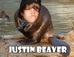 Image result for justin beaver images