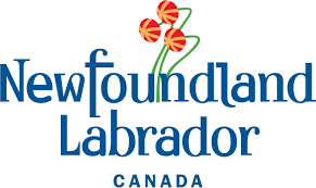 There were zero new vaccines delivered to newfoundland and labrador for a total of 316,090 doses delivered so far. Alert Level 2 Covid 19