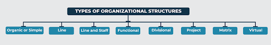 We deliver services to students in respect of financial matters; 8 Types Of Organizational Structures In Project Management