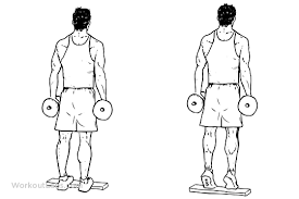 What muscles does this exercise workout? Calf Muscle Workout With Dumbbells Workoutwalls