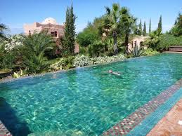 Jardin des douars is a beautiful guest ksar in the heart of the essaouira hills, dedicated to nature, authenticity, simplicity and kindness lovers 🌴 www.jardindesdouars.com. Great Heated Pool Picture Of Le Jardin Des Douars Essaouira Tripadvisor