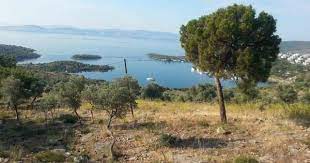 Kıyıkışlacık içinde satılık 41 adet ilan arasında arama yapabilirsin. Ender Gayrimenkul Den Satilik Turizm Imarli Arsa Hurriyet Emlak Ta Mugla Milas Kiyikislacik Emlakcidan Satilik 14000 M2 Turistik Arsa Ilaninin De Turizm Bahce