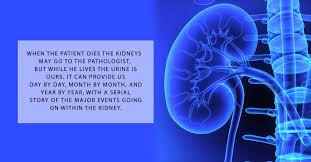 May 20, 2021 · the dialysis meant i couldn't sleep on my side and some nights the pain was so bad it would wake me up. Best 40 World Kidney Day Quotes And Sayings Events Yard