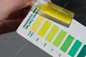 water sample with ammonia color chart stock image c028