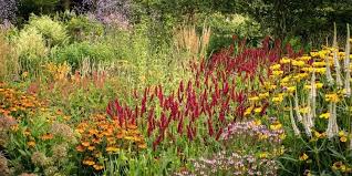 Jardines Naturalistas Para Sonar Garten Moorriem En Alemania Jardines Jardin Delantero Paisajismo
